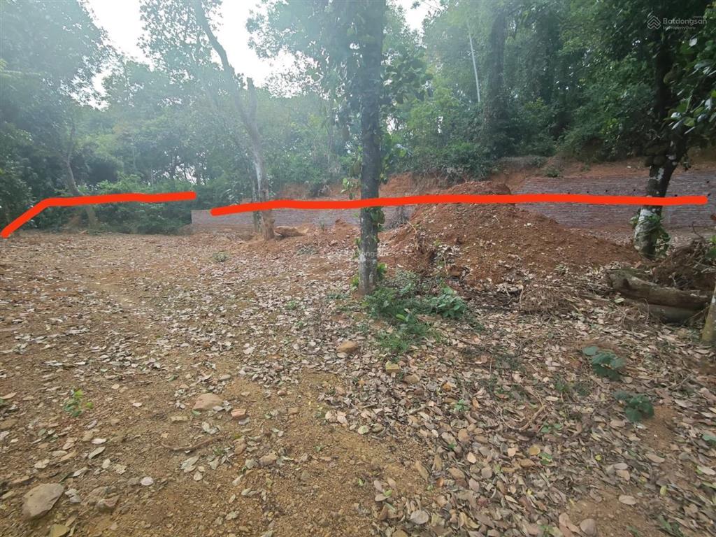 Chính chủ bán nhanh. bán đất tại xã tiên phương, 20 tỷ, 1367 m2, chính chủ
