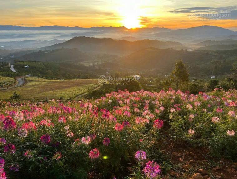 Đất dân chưa qua đầu tư | view săn mây thực tế | điện đường sẵn | sổ hồng riêng