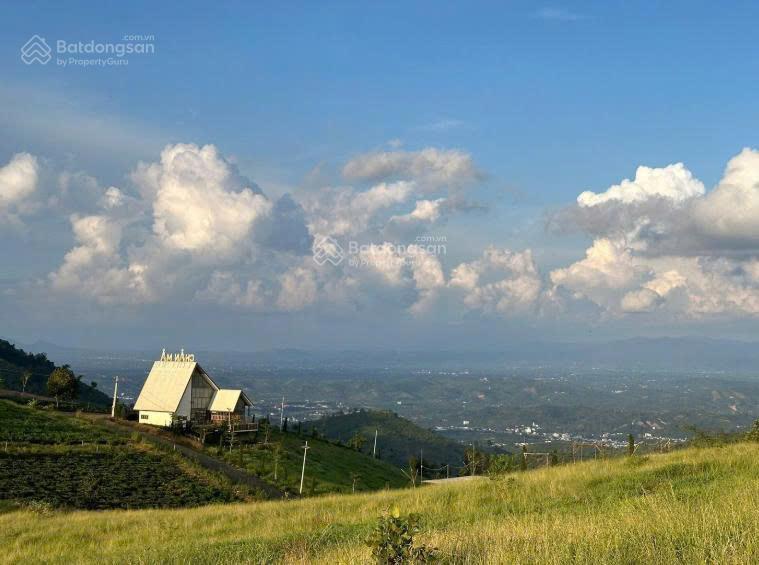 Đất dân chưa qua đầu tư | view săn mây thực tế | điện đường sẵn | sổ hồng riêng