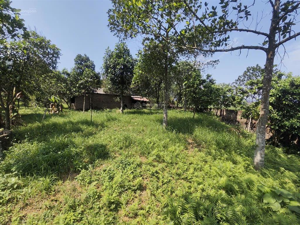 Cần bán 2610m2 đất thôn nam lý, xã trung giã, hà nội, giá 4,5 tỷ