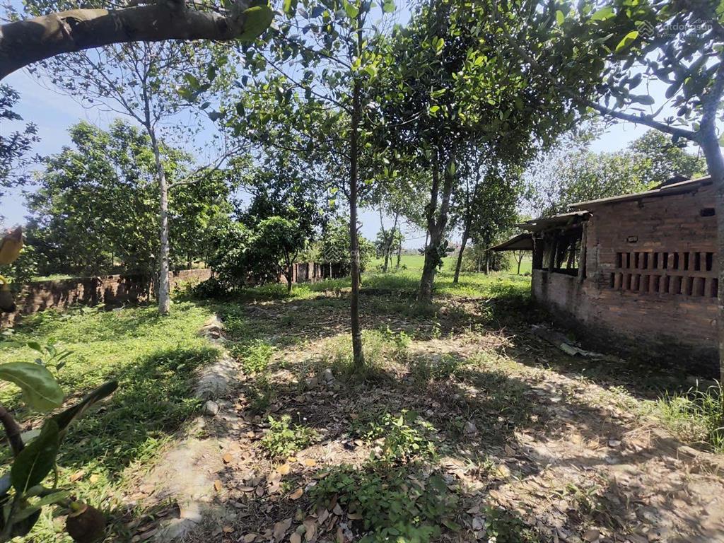 Cần bán 2610m2 đất thôn nam lý, xã trung giã, hà nội, giá 4,5 tỷ