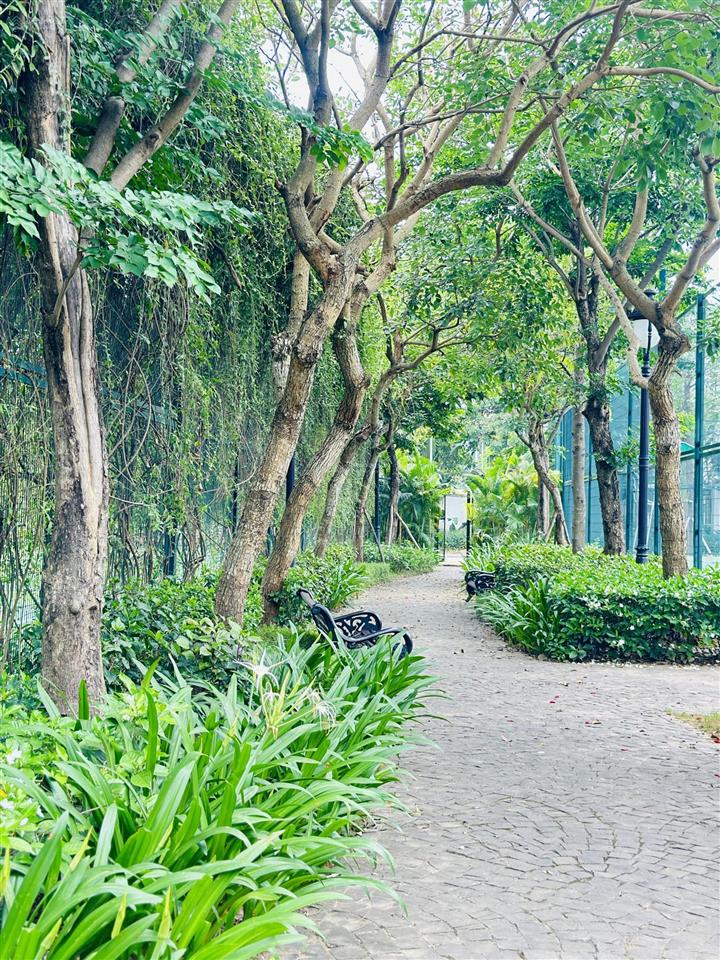 Cạnh trường thcs trưng vương bán liền kề 100m trong đô thị đồng bộ tiện ích.