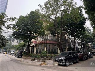 Đường 15m! 2 thoáng trước sau, 121m2, mt 8.3m, 35 tỷ