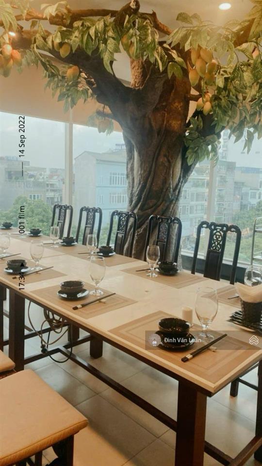 Tòa 8t thông sàn x 100m2, mt 5.3m, cho thuê văn phòng, kinh doanh dòng tiền khủng, giá 69 tỷ