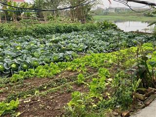 Bán gấp đất thổ cư 100.7m2 tại tỉnh lộ 205, thôn dũng tiến, xã hoàn long, 31 triệu/m2