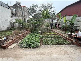 Bán nhanh trong tết để lấy tiền chia cho con.