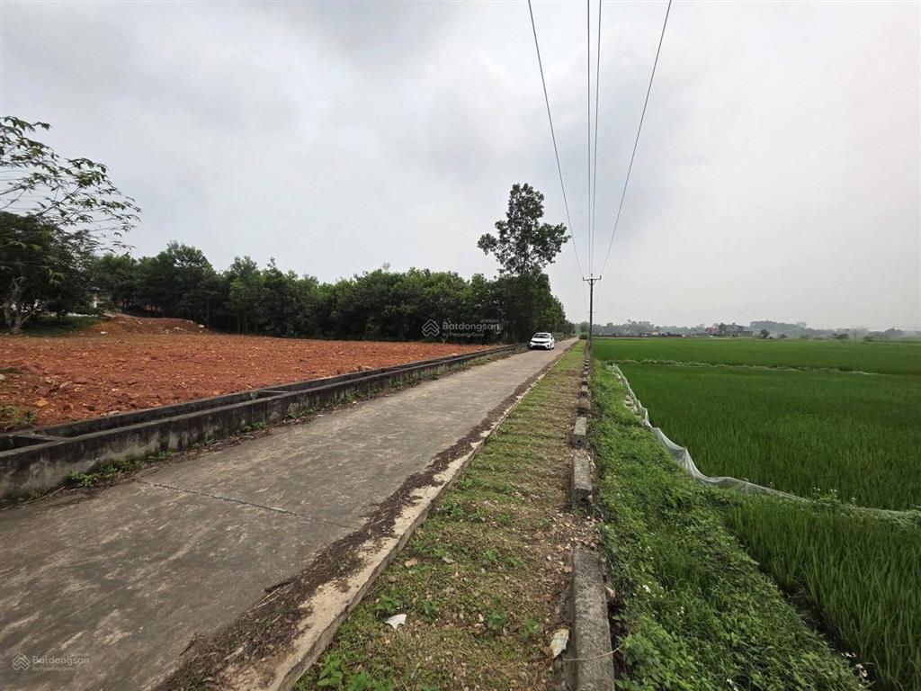 Chủ ngộp cần bán gấp đất sóc sơn giá rẻ