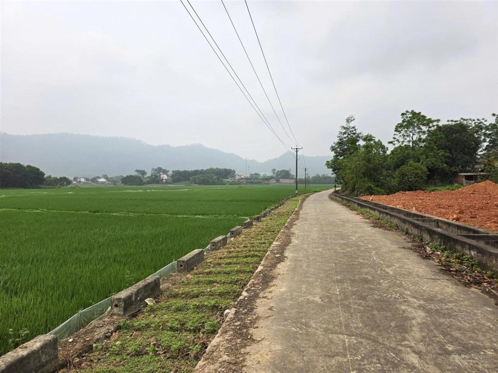 Chủ ngộp cần bán gấp đất sóc sơn giá rẻ