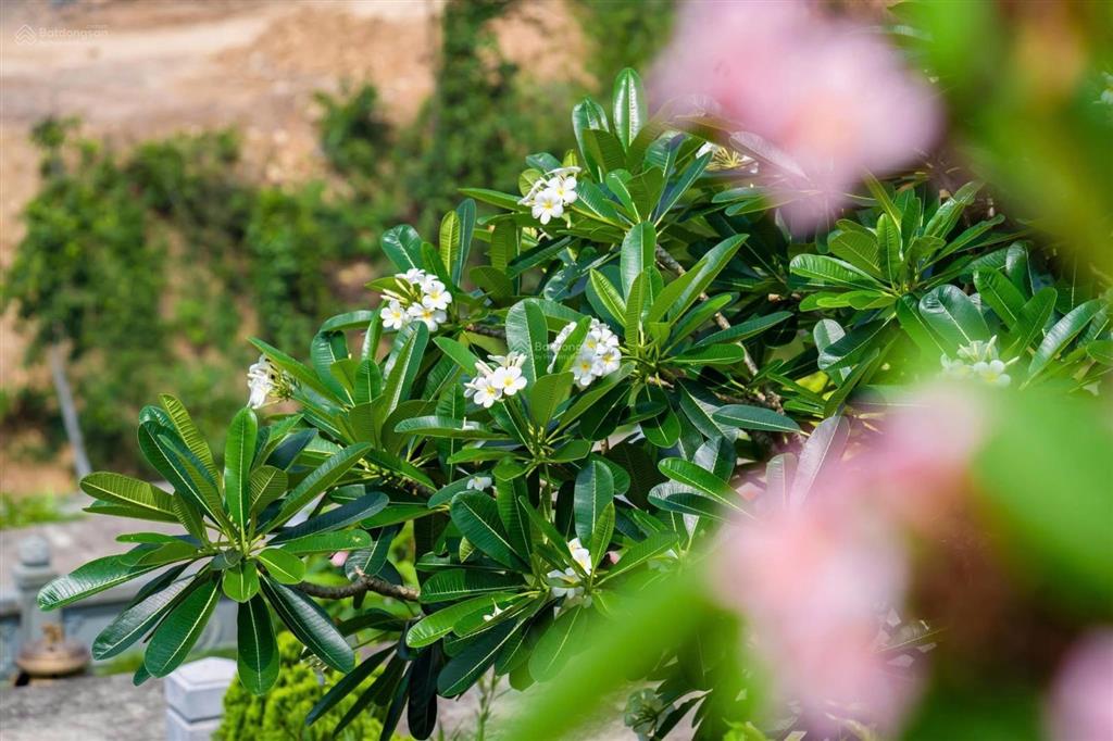 Chính chủ cần bán đất dự án công viên tâm linh tại bắc ninh