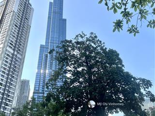 Bán 1pn tại the landmark 81  9,5 tỷ, 55m2