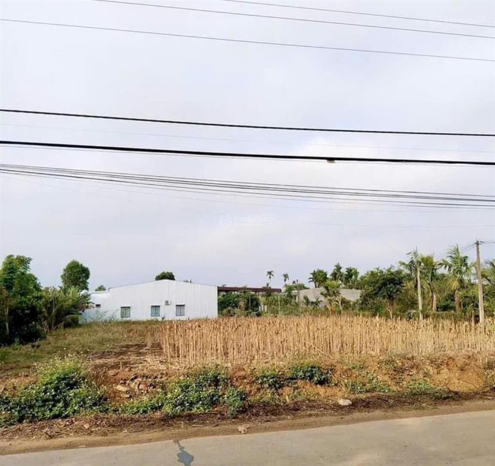 1/đt753  304 m2 ngay mt đường nhựa 42m. sẵn thổ cư 100m2. 1/đt753 sát trường th tân lợi chỉ 245tr