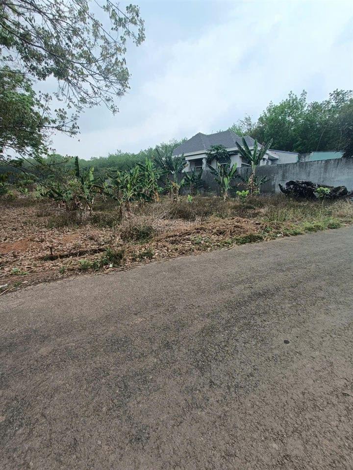 Ra nhanh lô đất nằm ngay trục chính của kcn tân tiến  thành phương. ngang 7m 339m2, giá chỉ 385tr