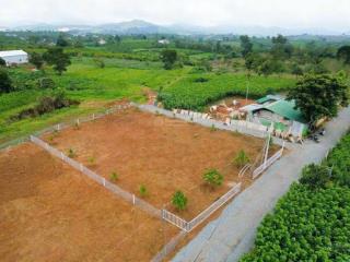 Bán gấp 3 sào giá 75tr/sào ngay đường cây số 9 nối ql14 với đường tạo lực 65m ngộp nặng đi nhanh