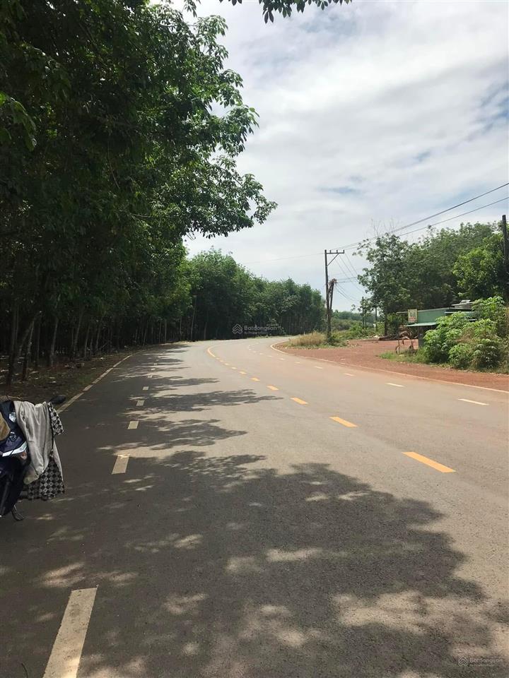 Ngân hàng thanh lý siêu phẩm tân hòa  ngang 58m 2000m2 ngay sát tuyến 2 vsip 4 chỉ 585 triệu