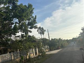 Thanh lý mt dh tân hoà tại tân hoà cũ  10*50m giá chỉ 850tr sẵn nhà