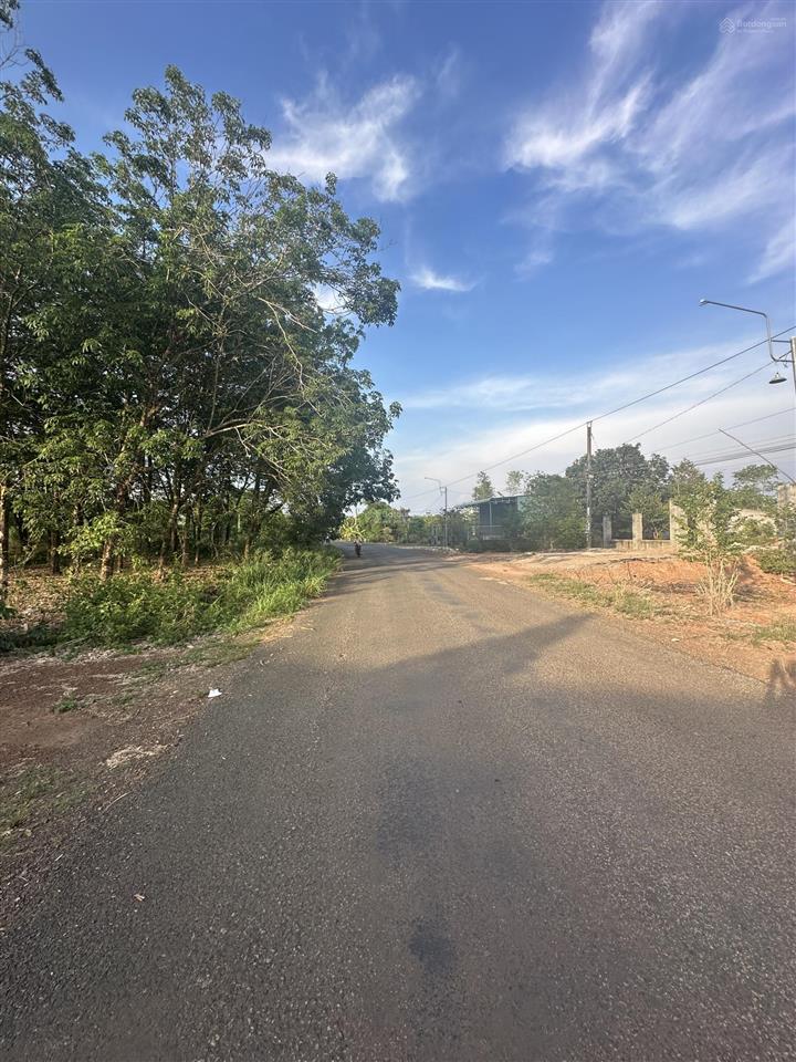 Thanh lý mt dh tân hoà tại tân hoà cũ  10*50m giá chỉ 850tr sẵn nhà