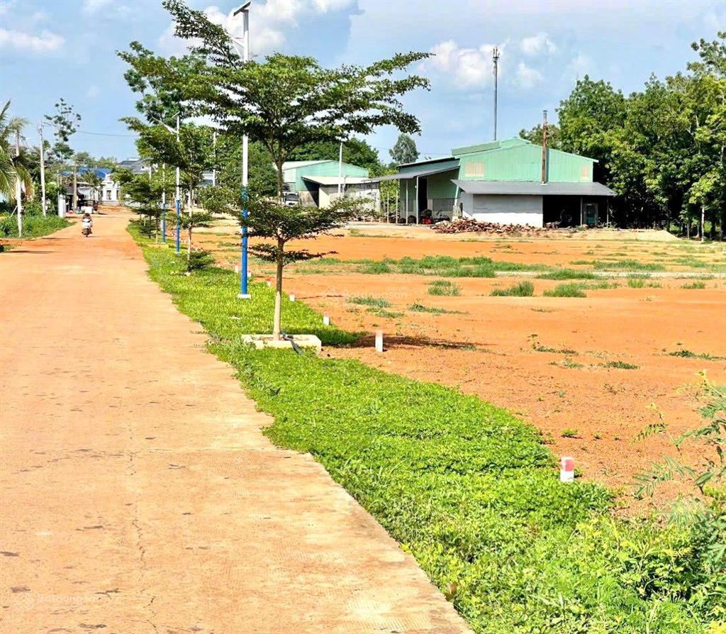 Bán gấp lô đất ngay đường tạo lực đồng phú  bình dương. ngang 15m hơn 1000m2 ra lỗ 350tr