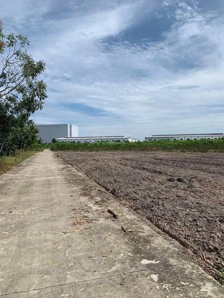 Ra gấp nền đất giá hời đồng phú, ngay đường cao tốc chơn thành  gia nghĩa, 1082m2 giá 356tr