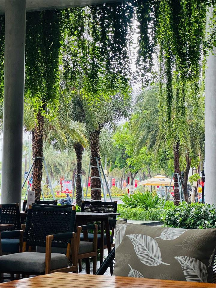 [view biển] suất nội bộ dự án q. tera quy nhơn, mua ở thì tuyệt vời, mua đầu tư thì siêu lợi nhuận!
