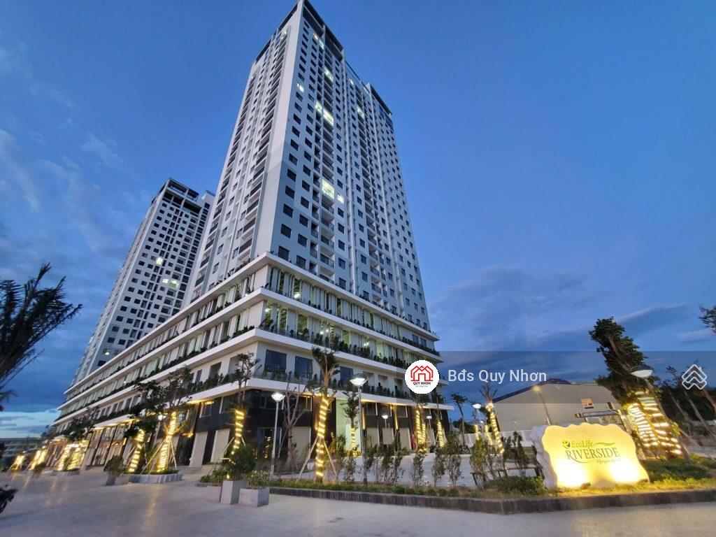 Bán gấp căn hộ ecolife riverside quy nhơn view sông, sổ hồng sẵn