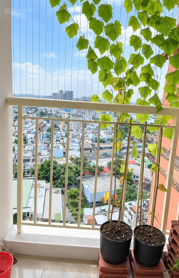 Chung cư 45 trương đình hội tầng 14 view thoáng  dòng tiền 8 triệu/tháng