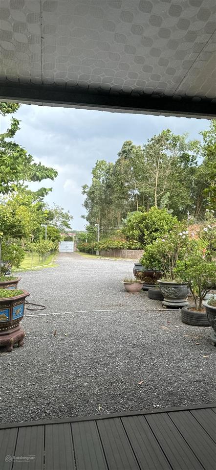 Bán mảnh đất 3000m tại ninh môn  nội bài  hà nội
