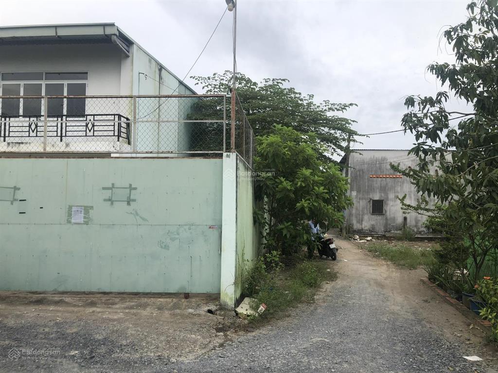 Chính chủ bán đất đường 181 bình mỹ, củ chi 431m²  ngang 15,4m  xe container vào tận đất
