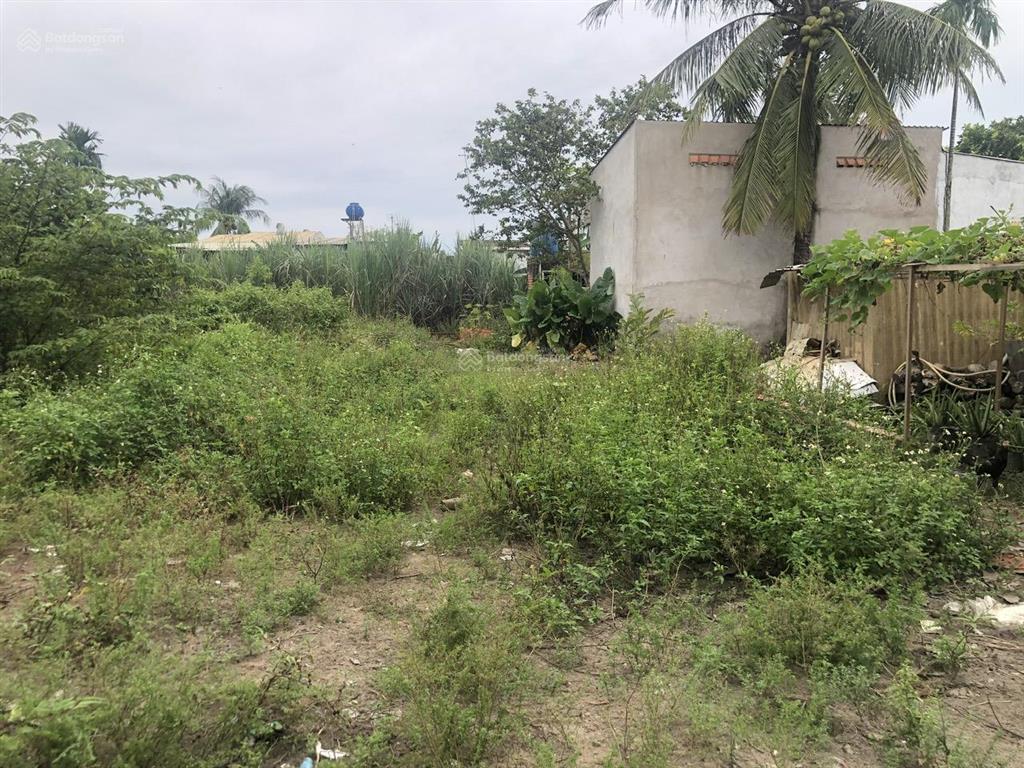 Chính chủ bán đất đường 181 bình mỹ, củ chi 431m²  ngang 15,4m  xe container vào tận đất