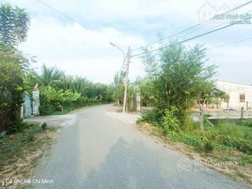 Bán đất củ chi diện tích 800m² đường phạm thị quới