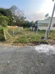Bán đất đường phạm thị quới diện tích 1.000m²