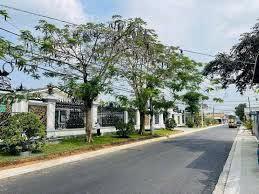 Bán đất đường phạm thị quới diện tích 1.000m²