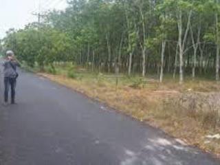 Bán đất 900m² có thổ cư đường phạm thị quới