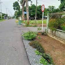 Bán đất 1.200m² củ chi có đất ở