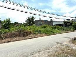 Bán đất 1.150m2 đường phạm thị quới, pháp lý rõ ràng.