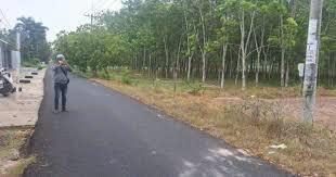 Bán đất 1.150m2 đường phạm thị quới, pháp lý rõ ràng.