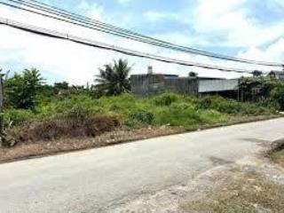 Bán đất mặt tiền đường phạm thị quới, diện tích 1.500m2