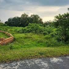 Bán đất diện tích lớn đường phạm thị quới huyện củ chi