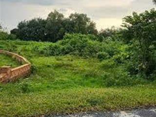 Bán đất diện tích lớn đường phạm thị quới huyện củ chi