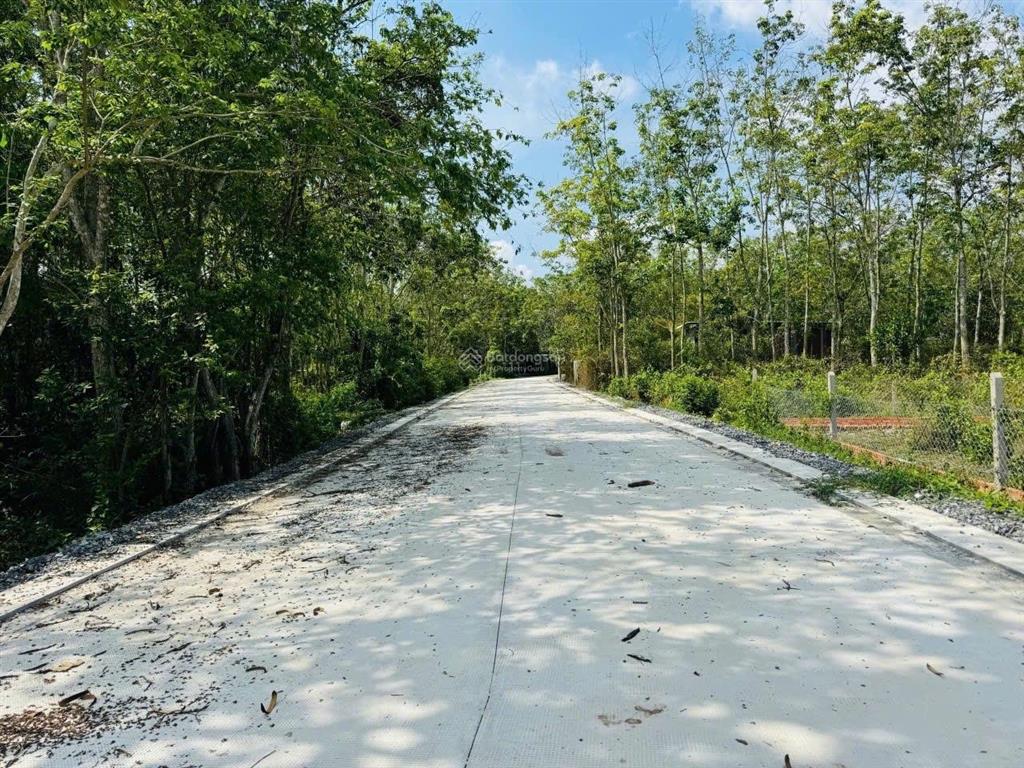 Bán đất vườn có 216m2 thổ cư xã phú mỹ hưng, củ chi diện tích lớn, giá tốt