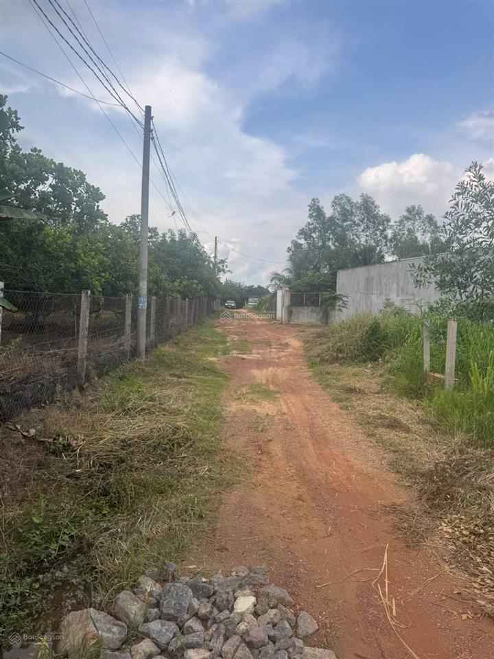 Bán đất 586m2 xã phú ngọc, huyện định quán, đồng nai. diện tích lớn, giá tốt