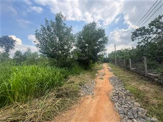 Bán đất 586m2 xã phú ngọc, huyện định quán, đồng nai. diện tích lớn, giá tốt