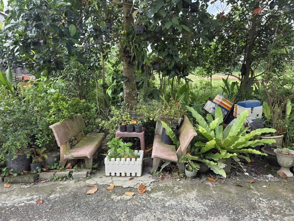 Bán nhanh lô đất bên hông dự án vinhomes sai gon park