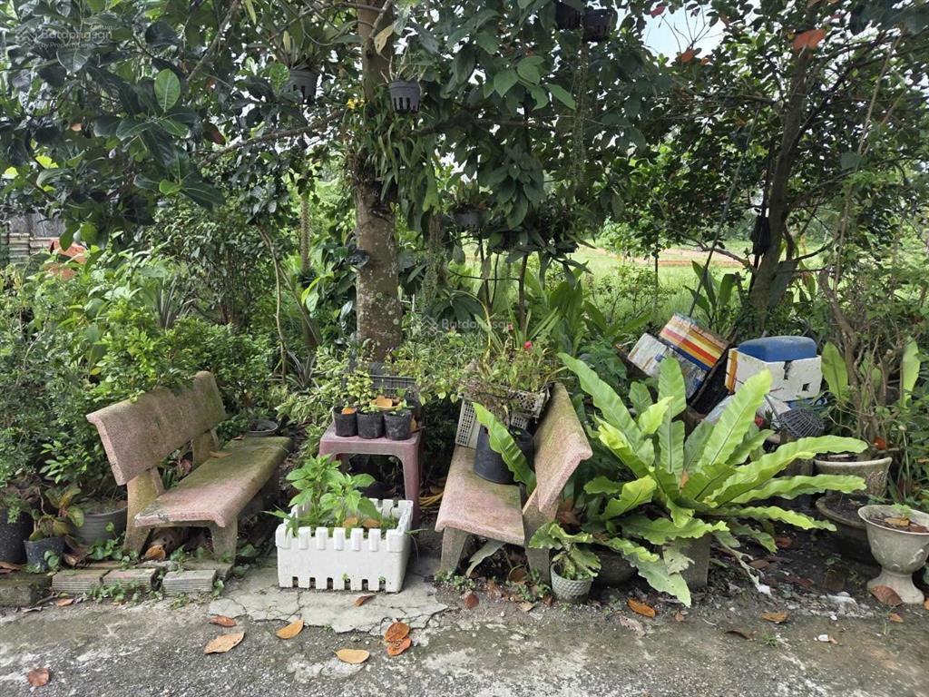Bán nhanh lô đất bên hông dự án vinhomes sai gon park