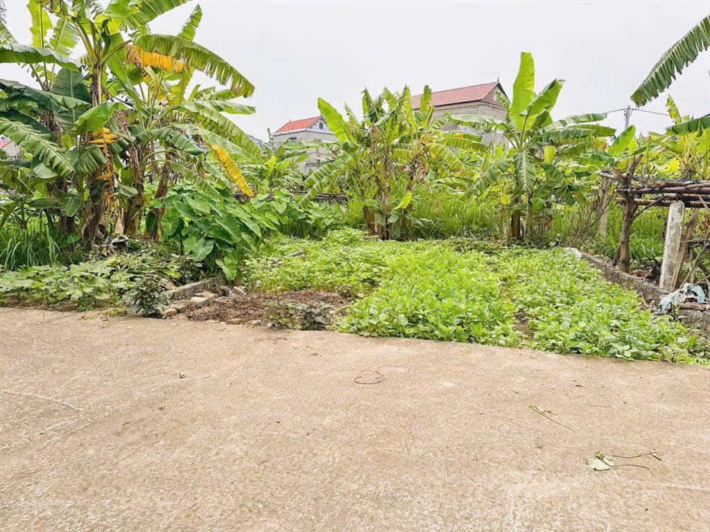 Tôi chính chủ cần bán lô đất 95m² giá 1,25 tỷ tại xã trung kênh, lương tài, bắc ninh