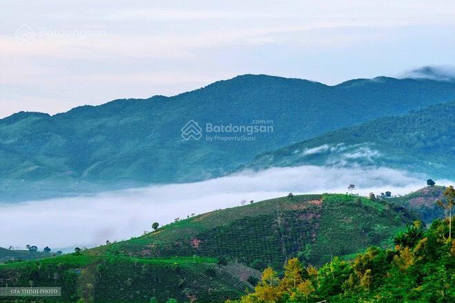 Chính chủ bán đất 137m2, 600 triệu tại xã lộc an, bảo lâm, lâm đồng