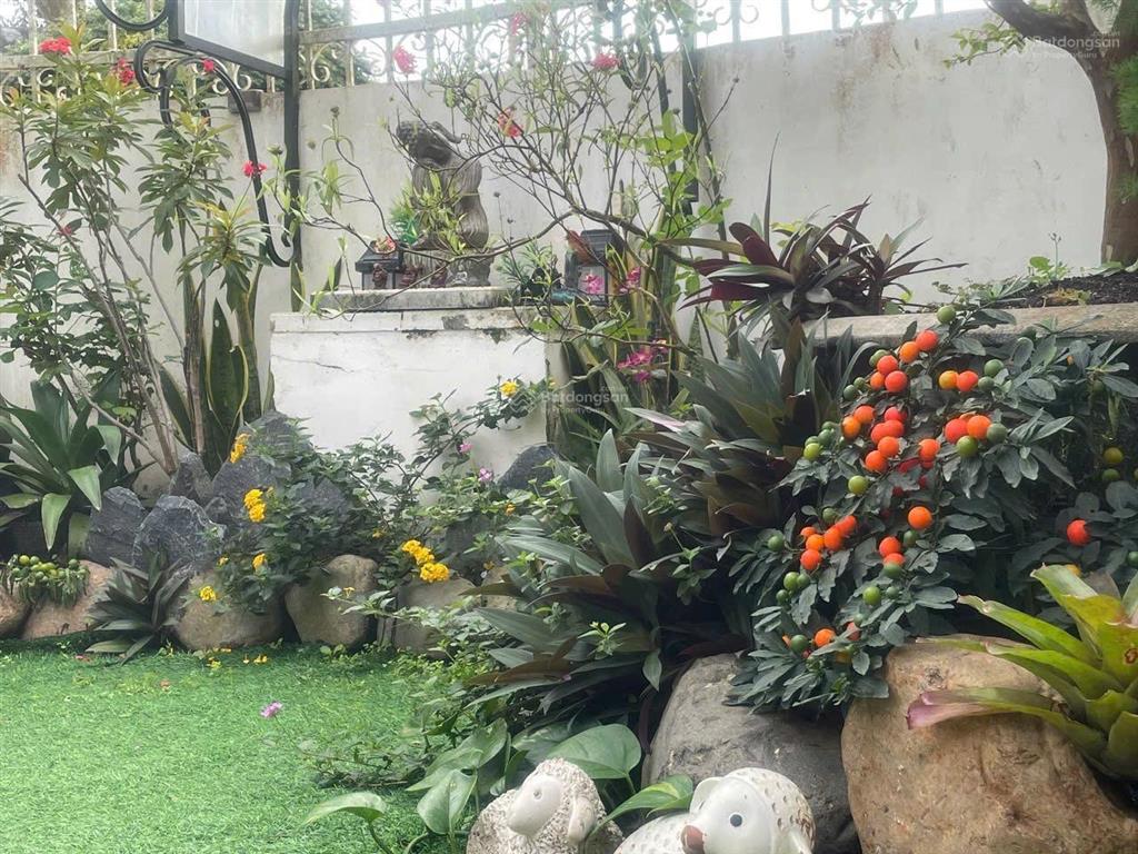 Nhà phố đẹp view núi và suối tại phường 3 bảo lộc