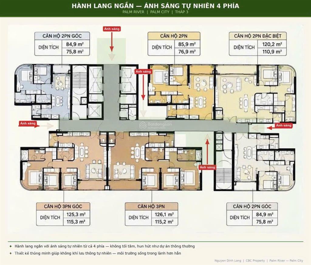 Tái tạo năng lượng sống mỗi ngày với palm river  giá gốc cđt 168tr/m2