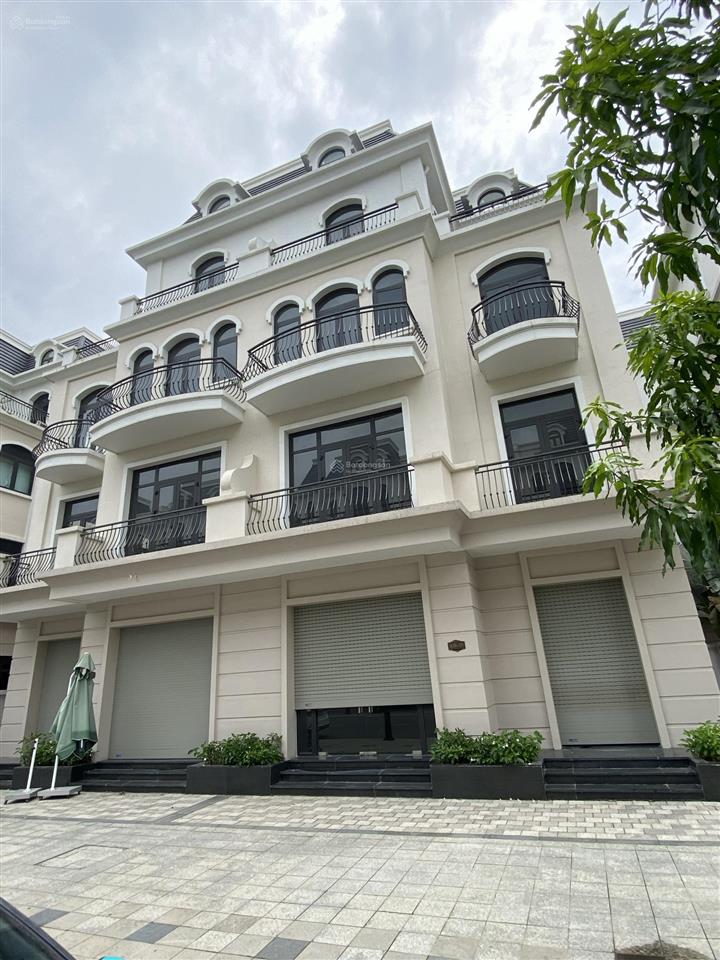 Biệt thự song lập kđ  3x ngay tại trung tâm dự án  lỗ hỏng về kinh tế rẻ hơn 5 tỷ