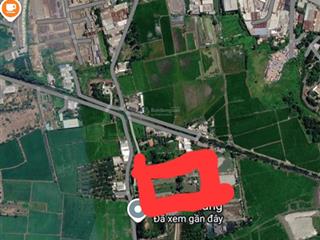 Cho thuê 5000m2 đất chính chủ, t11/2026, giá 12tr/tháng, có nhà, vườn và ao tại xã tân nhựt