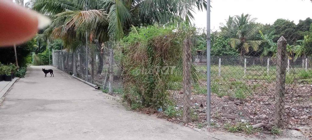 Chính Chủ Bán Đất An Sơn 32 Diện Tích 500m2 Thổ Cư 100m2 Giá 4,6 tỷ